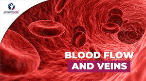 Blood Flow and Veins