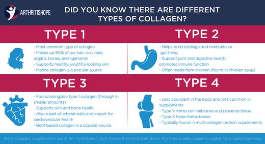 Types of Collagen – ArthritisHope