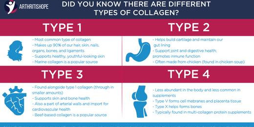Types of Collagen